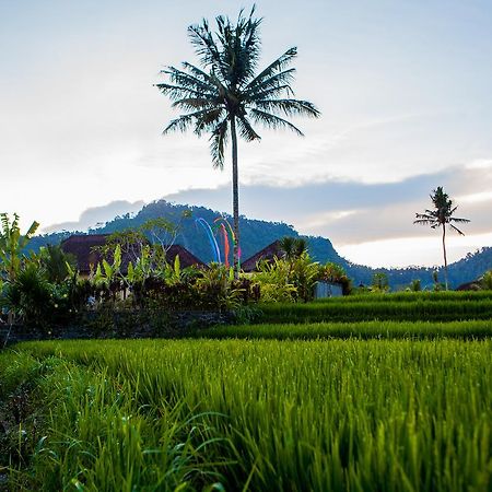 Pelangi Villas Sidemen By Agata Buitenkant foto